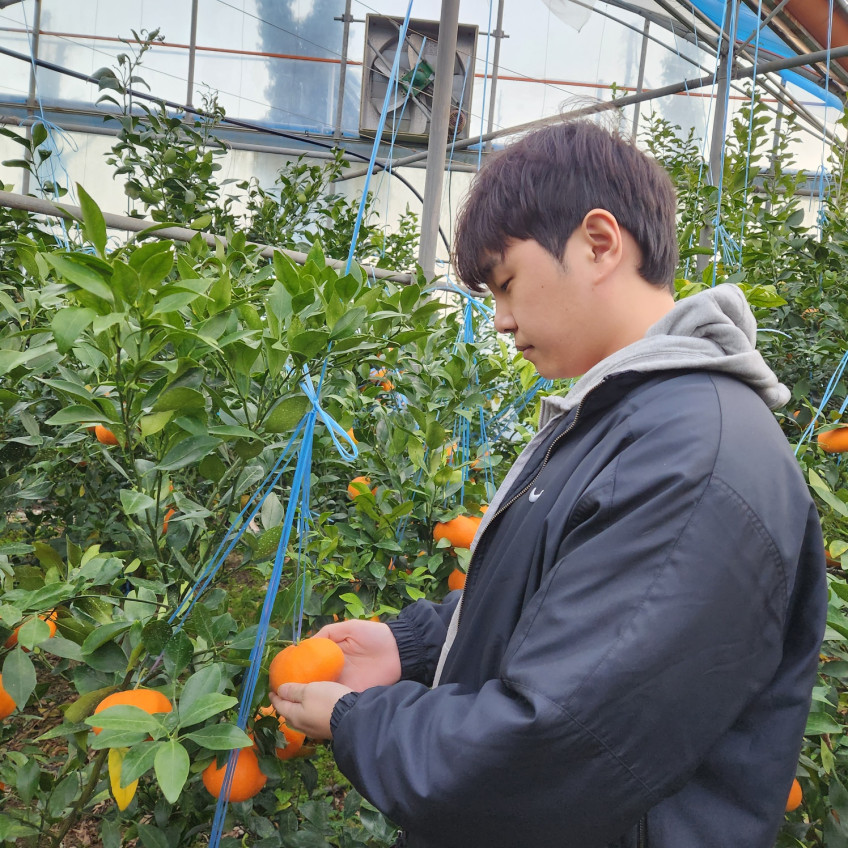 Jeju Farm