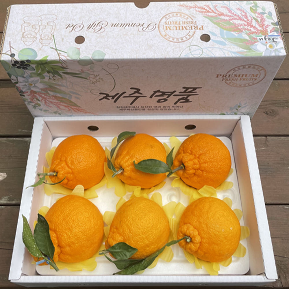 산지직송 제주 한라봉 농장 가정용 프리미엄 과일선물세트 [원산지:국산(제주특별자치도 서귀포시)]