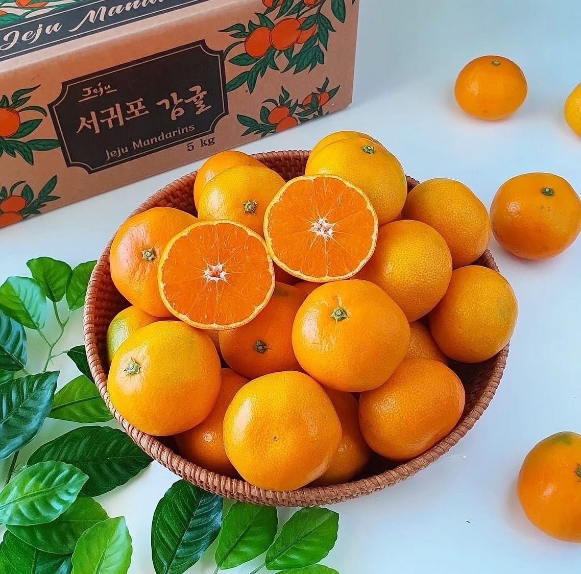 제주 돌밭 노지 조생감귤 타이벡감귤 황금향 3kg 5kg 10kg 2