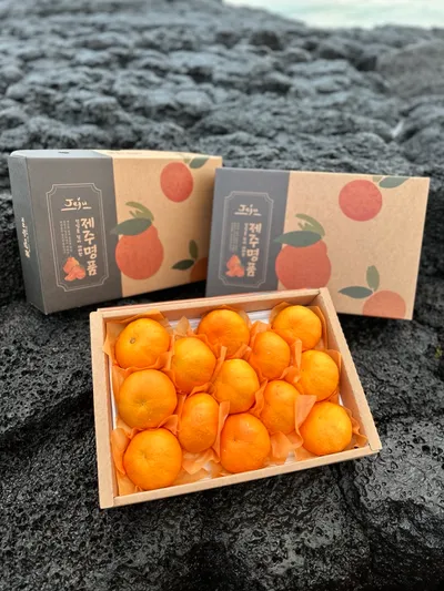 산지직송 제주 레드향 농장 가정용 프리미엄 과일선물세트