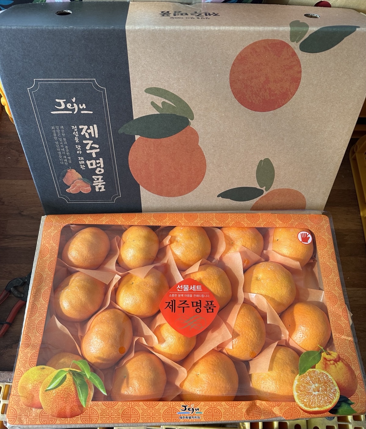 산지직송 제주 레드향 농장 가정용 프리미엄 과일선물세트 3