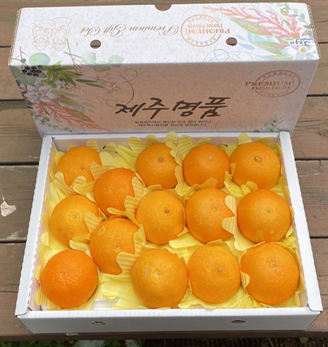 제주 돌밭 노지 조생감귤 타이벡감귤 황금향 3kg 5kg 10kg 10