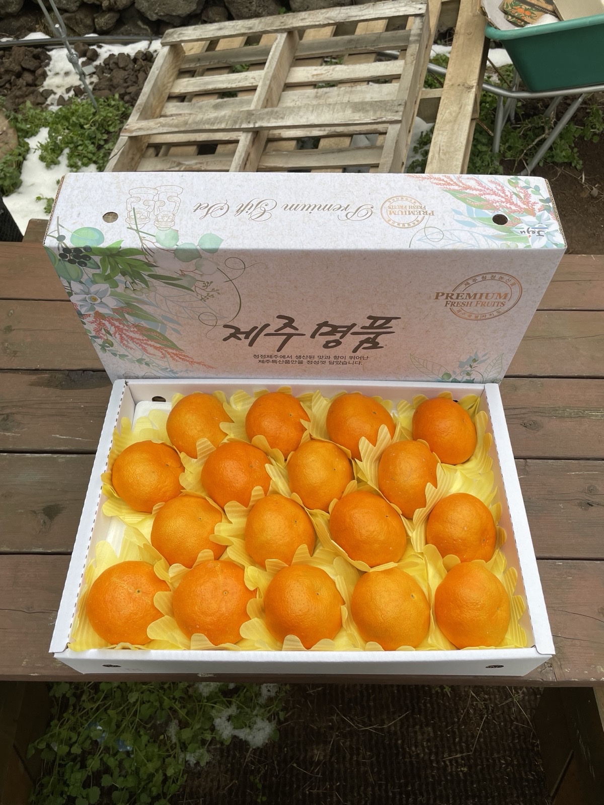 산지직송 제주 레드향 농장 가정용 프리미엄 과일선물세트 6