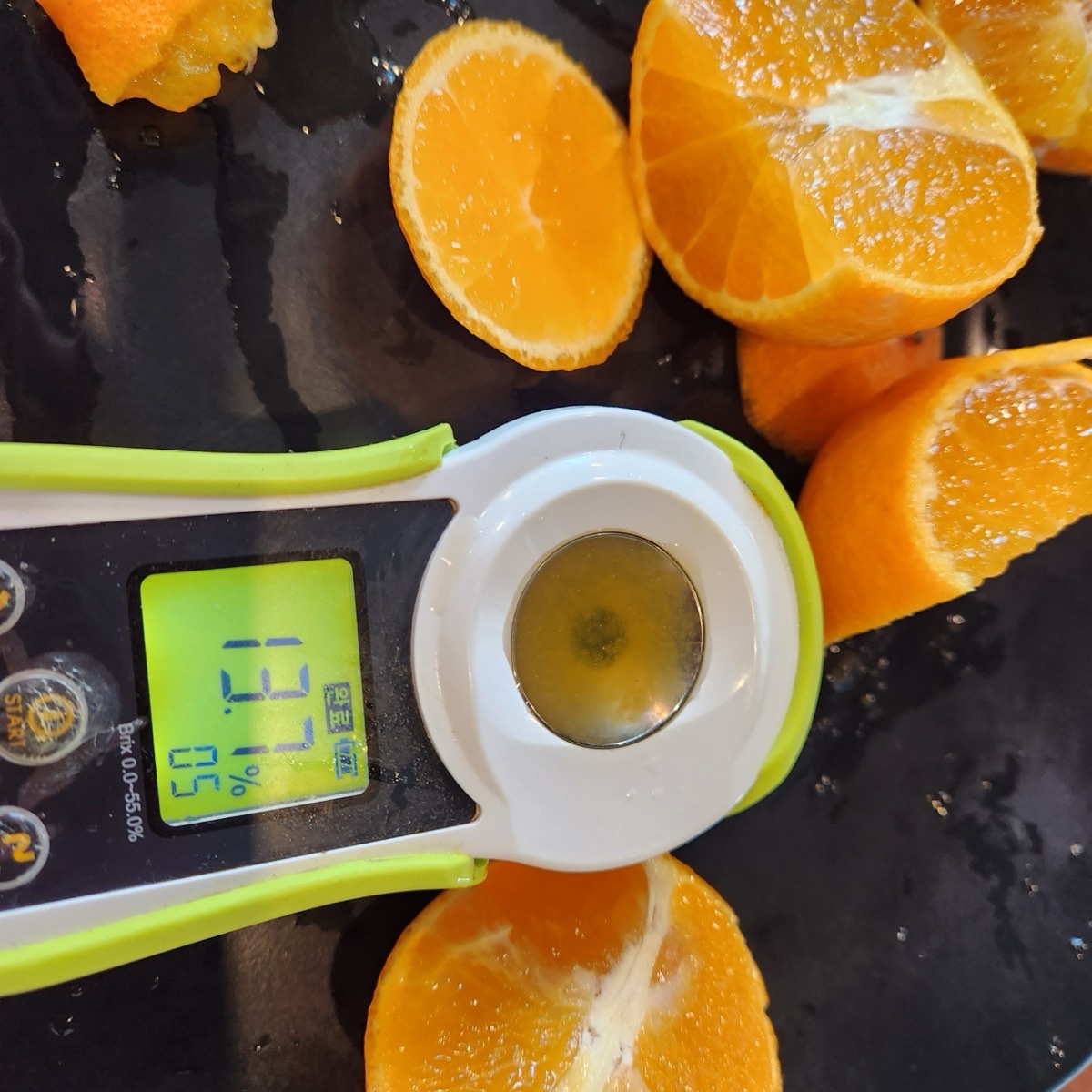 제주 돌밭 노지 조생감귤 타이벡감귤 황금향 3kg 5kg 10kg 9